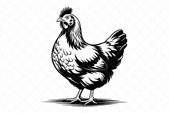 Download Chicken SVG, Hen SVG, Farm Clipart, 017 - Premium Resources