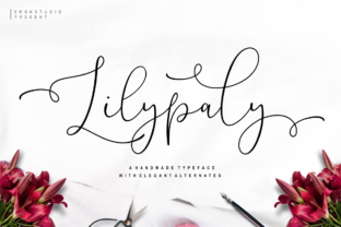 Download Lilypaly - Premium Resources